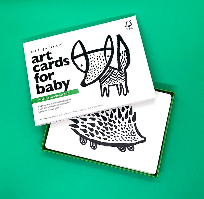 The Harley Gallery Shop Online // High contrast flashcards for baby