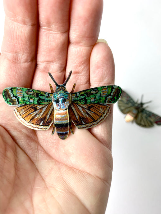 哈利画廊 商店 // Melanie Tomlinson The Portland Moth胸针